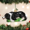 Old World Christmas Herding Border Collie Ornament 1 Old World Christmas Herding Border Collie Ornament