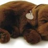 TheHolidayBarn.com New! Breathing Chocolate Lab Puppy