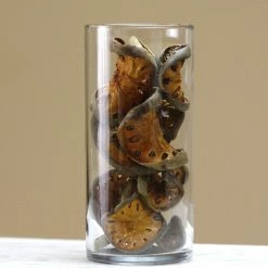 TheHolidayBarn.com Dried Quince Slices Vase Filler