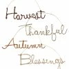 Bethany Lowe Cursive Fall Word Ornaments