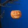 Bethany Lowe Jack-O'-Lantern Votive Holder