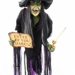 Katherine's Collection Haunted Witch Wall Piece New!