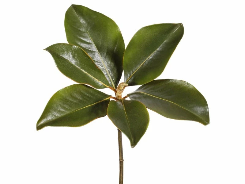 TheHolidayBarn.com Magnolia Leaf Picks, Set Of 3 New! 3 TheHolidayBarn.com Magnolia Leaf Picks, Set Of 3 New!