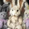 New! Charlie Bears Parsley Rabbit 1 New! Charlie Bears Parsley Rabbit