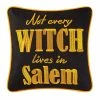 TheHolidayBarn.com New! Salem Witch Pillow
