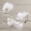 Bethany Lowe Winter Snow Bird Clip Ornaments